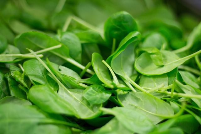 garden organic gardening look useful information