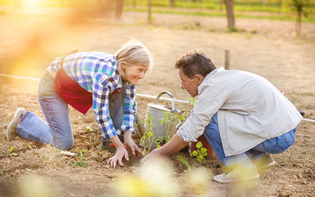 growing vegetables year round