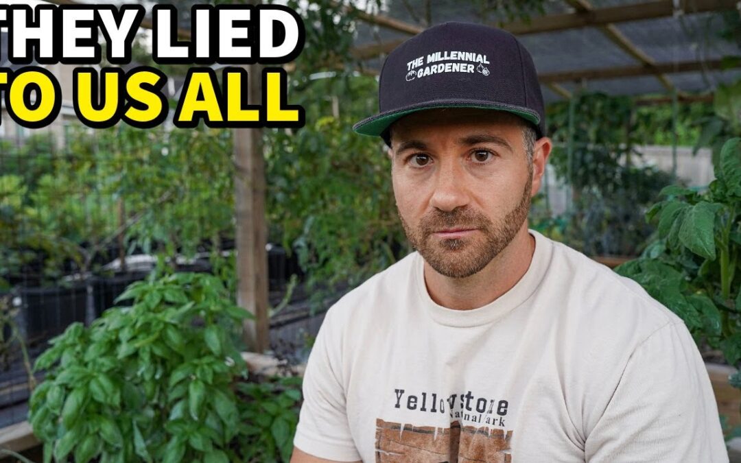 garden vegetable gardening they lied us about our whole backyard