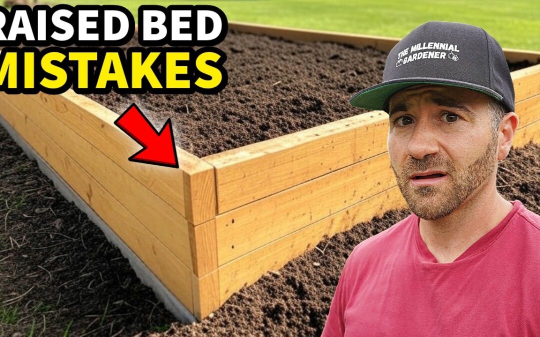 garden raised bed gardening catastrophe do not make 3 home