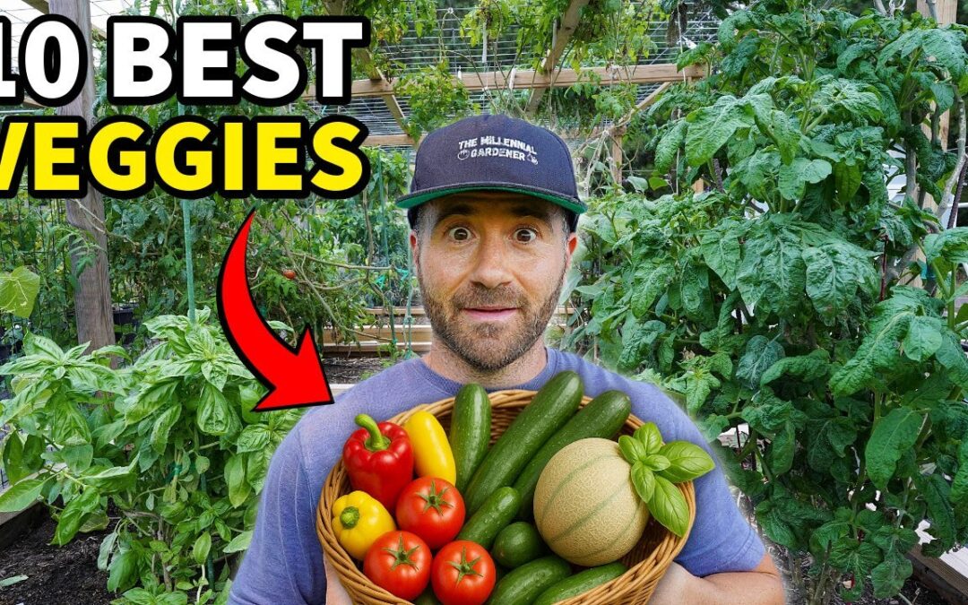 container gardening explosive results grow 10 veggies next year