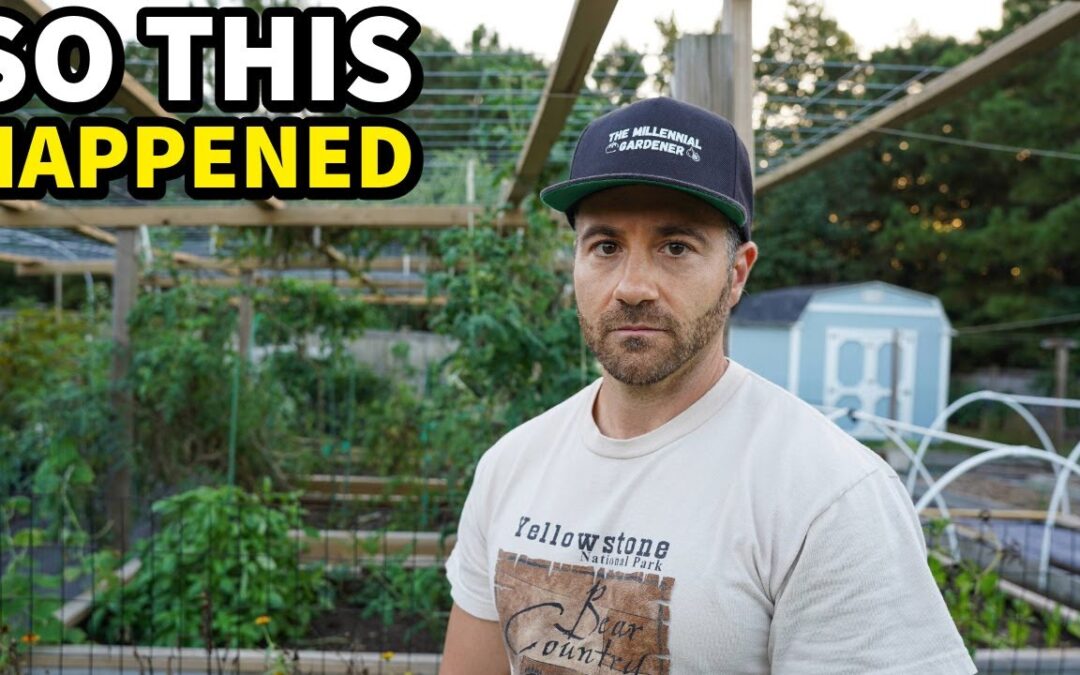 gardening i just had surgery here s happened home ideas