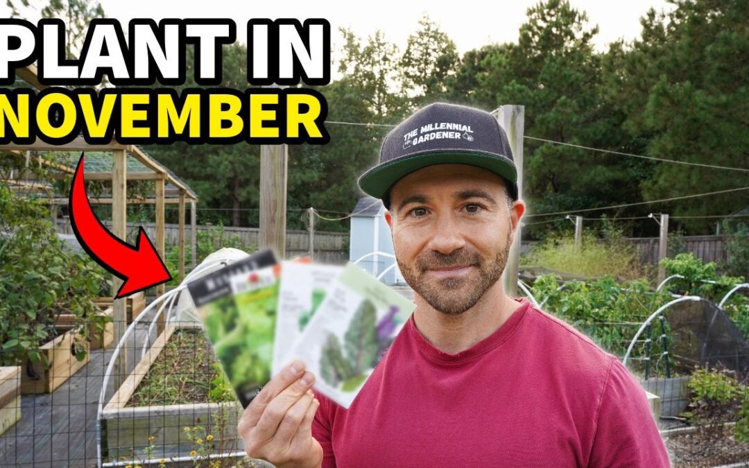 planting vegetables ll regret not 10 crops growing year