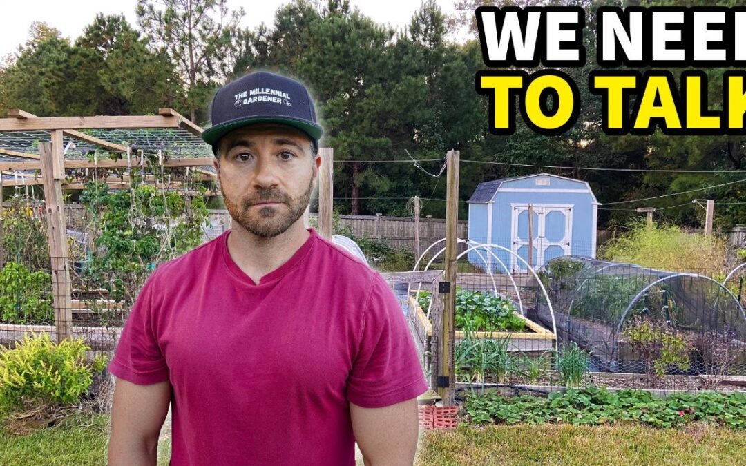 garden organic gardening my final tour
