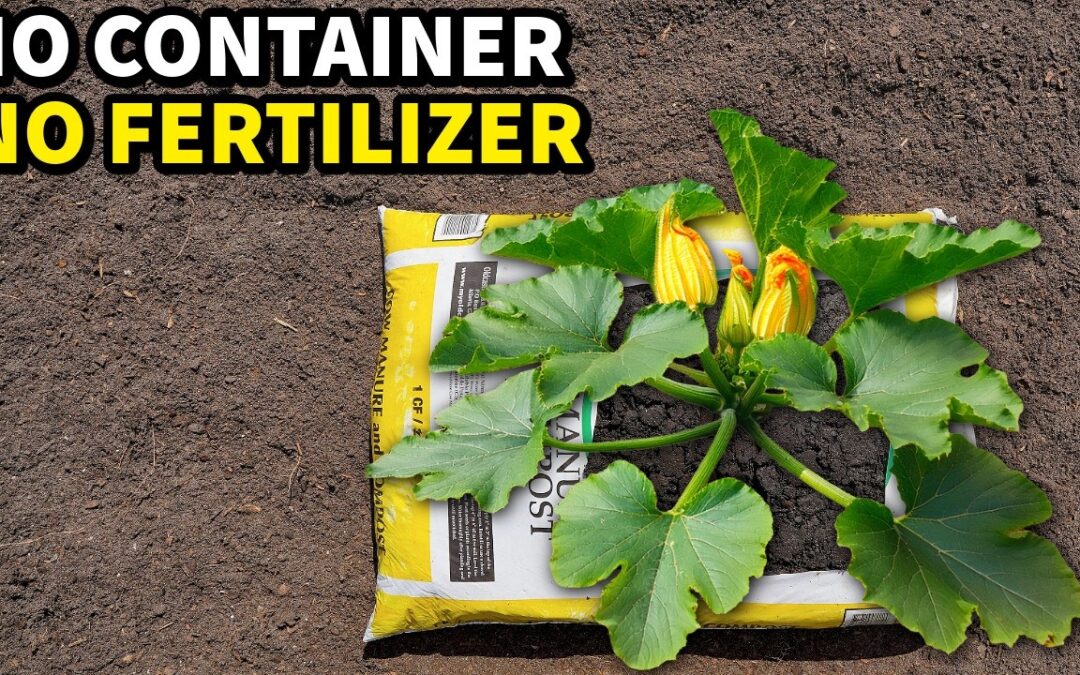 gardening grow plants bag home ideas