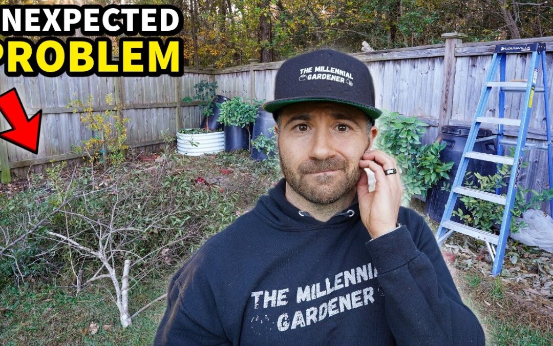 garden gardening doesn t go planned home ideas