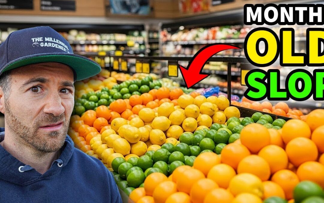 The Citrus Industry's Dirty Secret Will DISGUST And UPSET You!