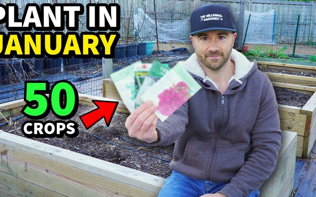 DON'T WAIT! Plant These 50 Awesome Crops In JANUARY NOW!