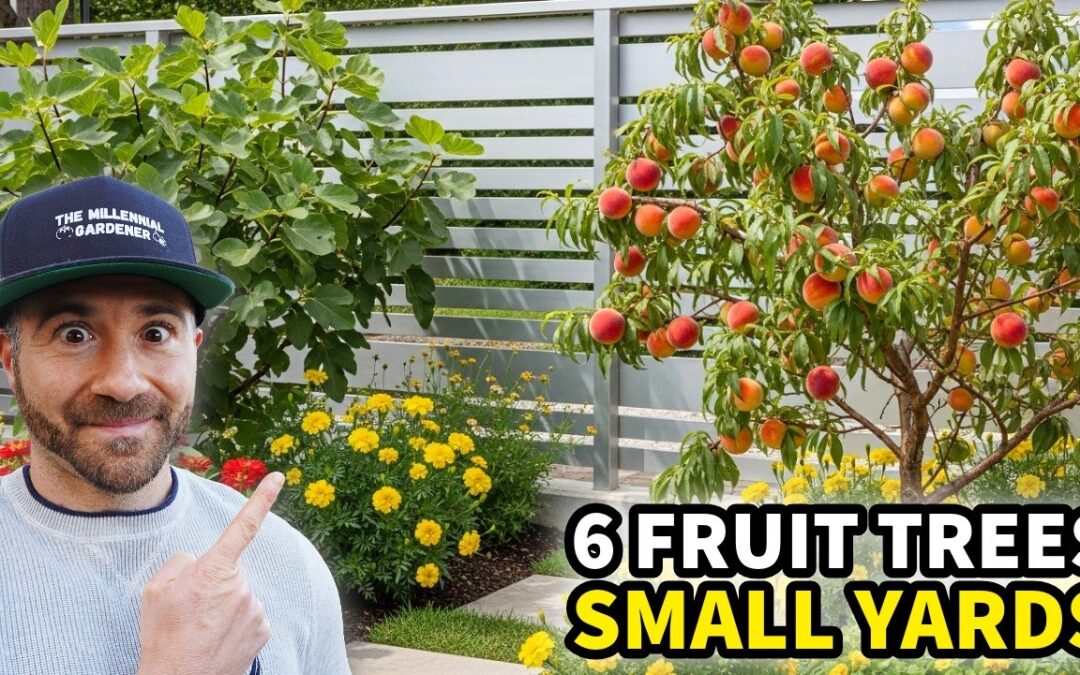 youtube thumbnail 0v2xilreqvg jpg