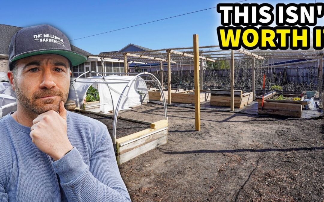 4 Reasons I'm NOT Gardening In 2026