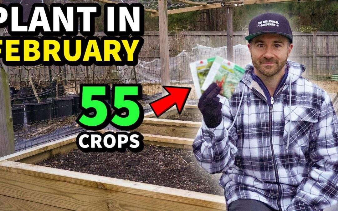 IT'S TIME! Plant These 55 Crops In FEBRUARY NOW!