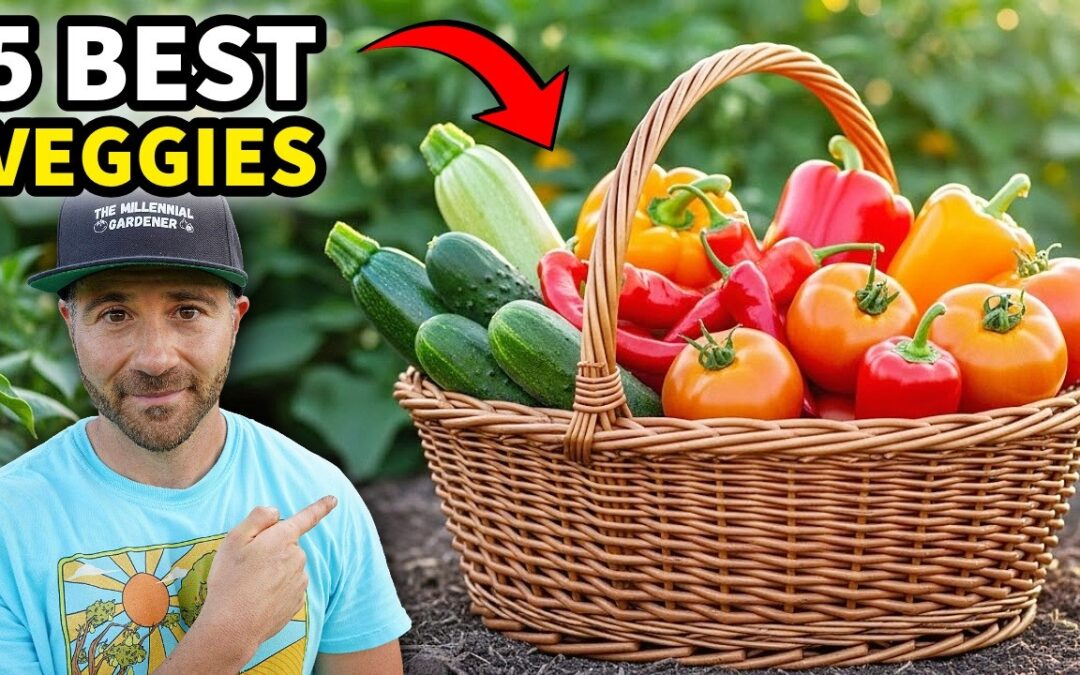 I Tested 100's Of Varieties: Here Are My 5 BEST Veggies Ever Grown!
