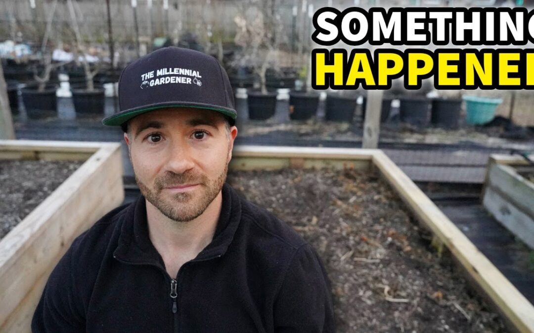 Something Happened.