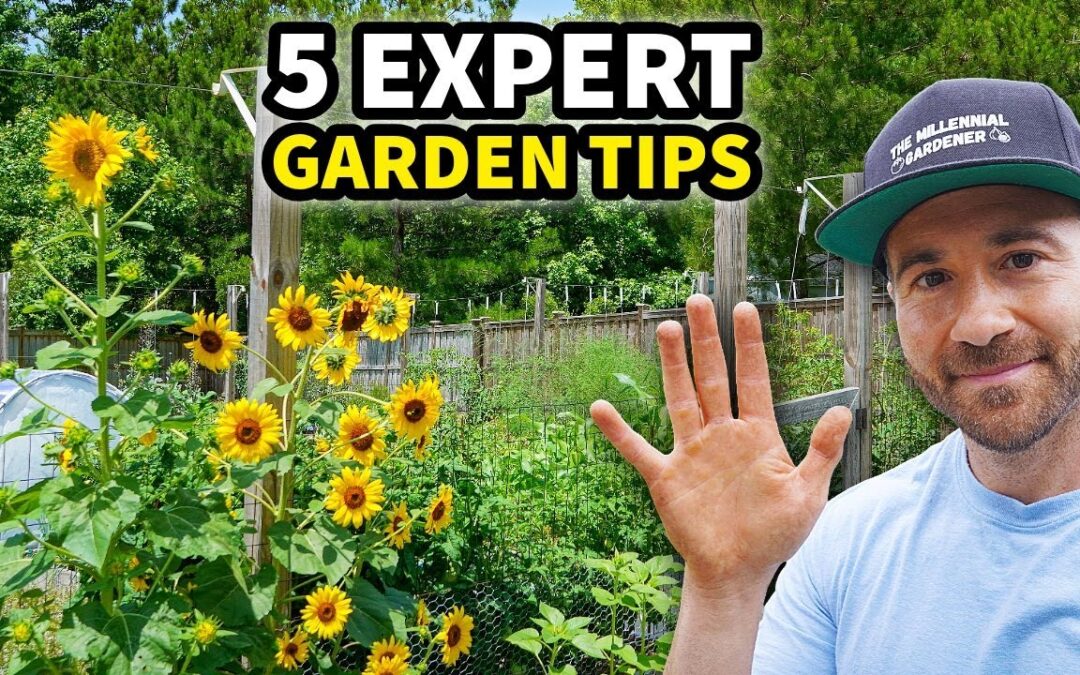 5 Tricks To Make Your Garden EXPLODE This Year!