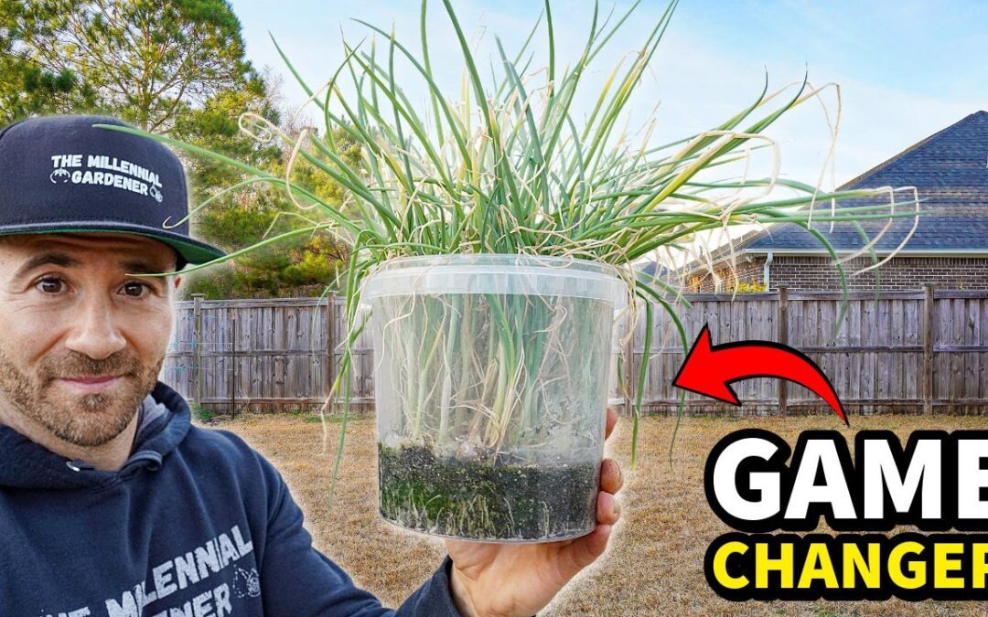These FREE Containers Are Your Garden's New BEST FRIEND!