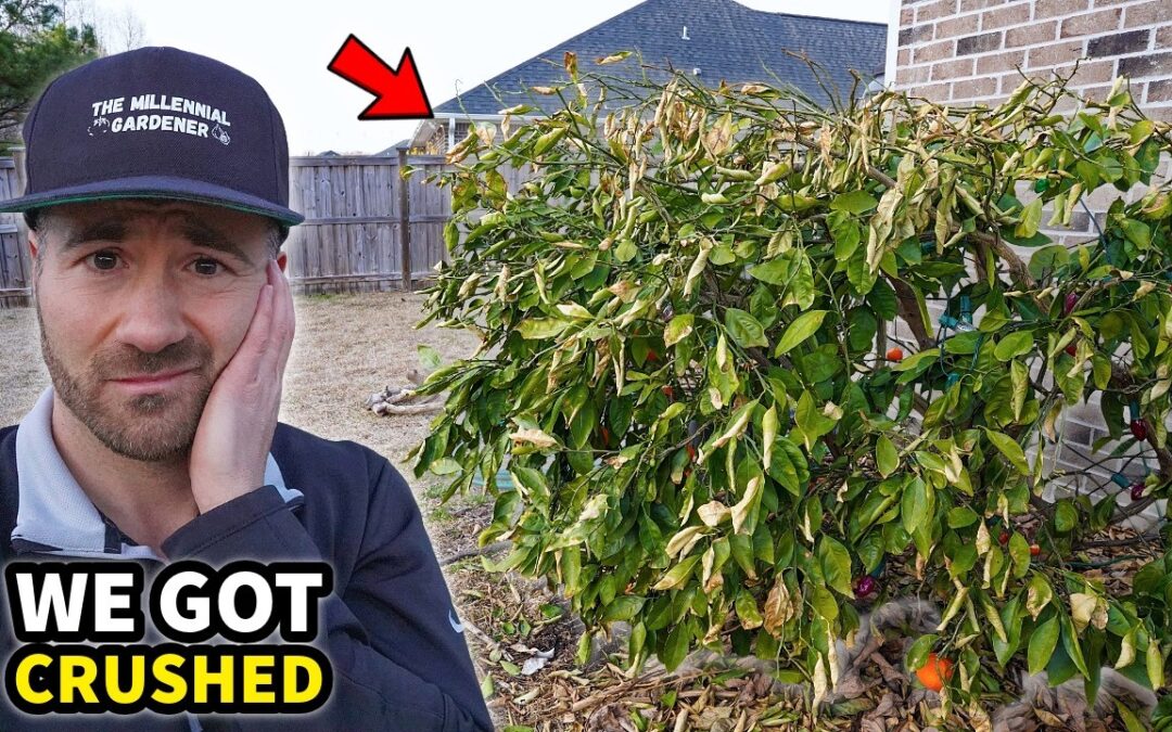 We Got CRUSHED!