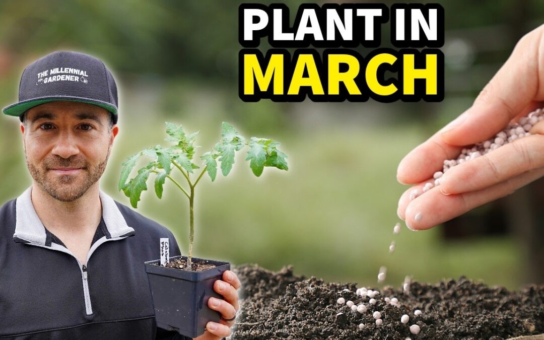 Plant This In March NOW, Or Regret It Later!