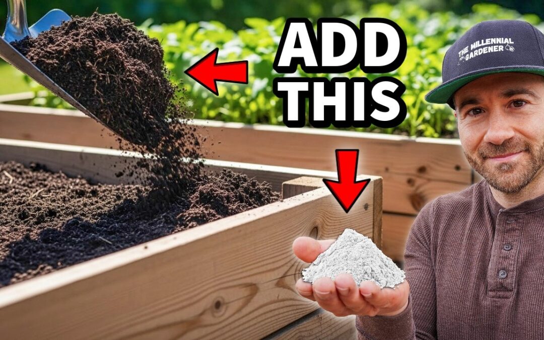 Add THIS To Your Soil NOW For EXTREME Production!