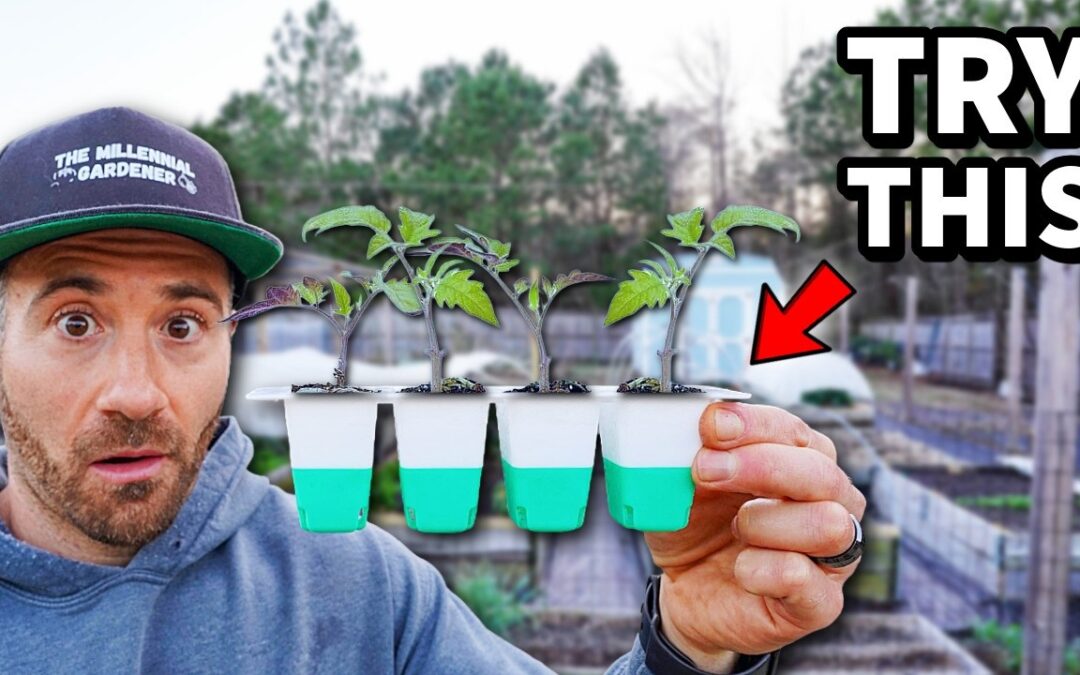 A New Way To Start Seeds For EASY Transplanting!