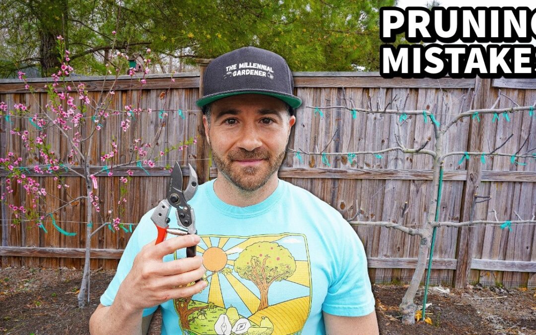 The DISASTROUS Pruning Mistake MILLIONS Are Making!