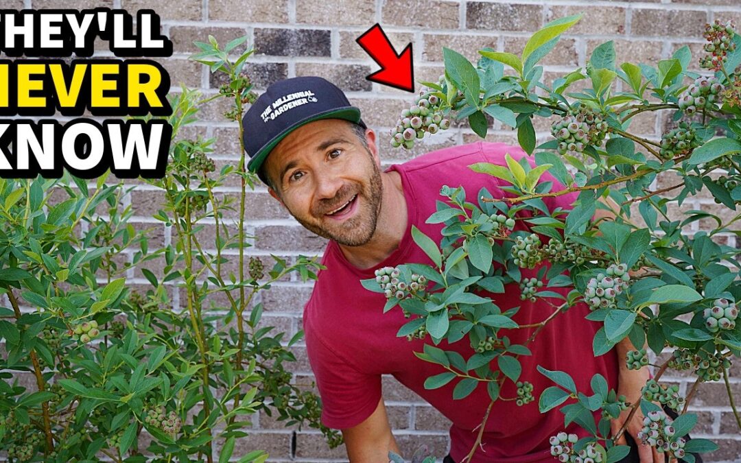 seed saving gardeners