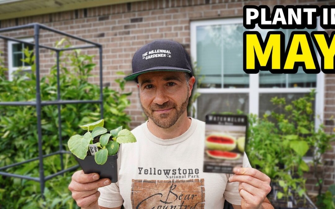 navigating composting