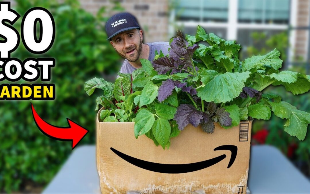 most reliable flowers beginner gardeners