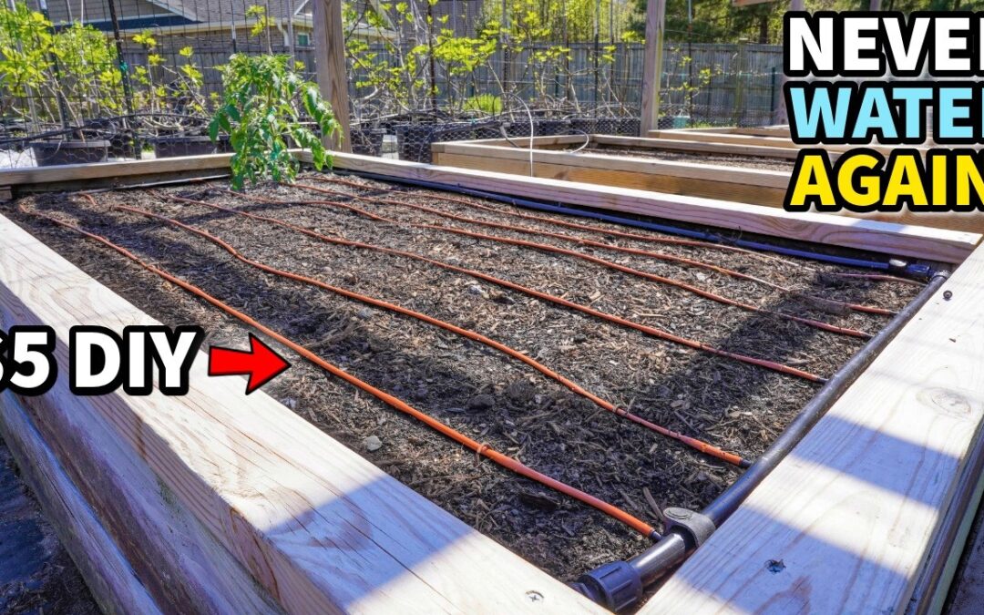 maximize harvest