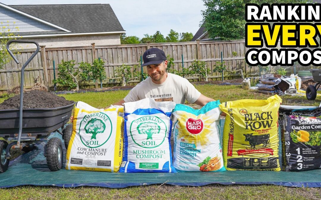 garden plants pollinator friendly